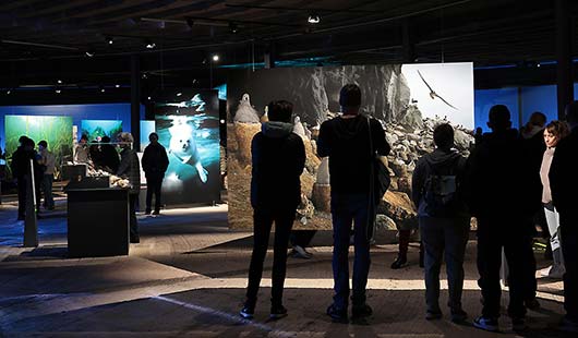 Besucherinnen und Besucher betrachten die großflächigen Fotos der Ausstellung 