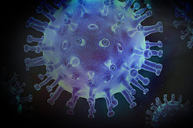 Coronavirus (Foto: Pixabay/PIRO4D)