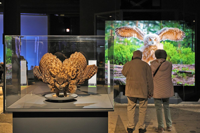 Impressionen aus der Ausstellung (Foto: Dirk Böttger)