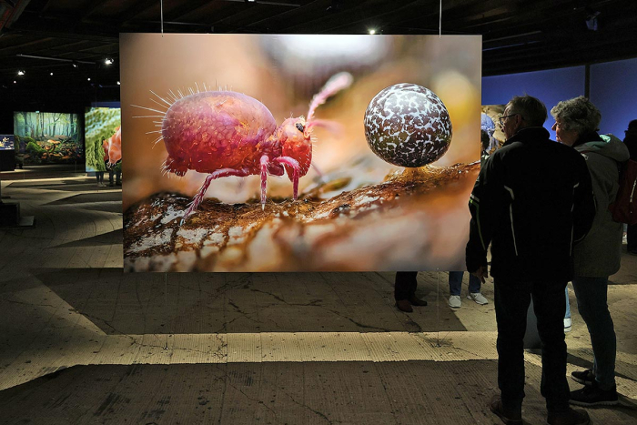 Impressionen aus der Ausstellung (Foto: Dirk Böttger)