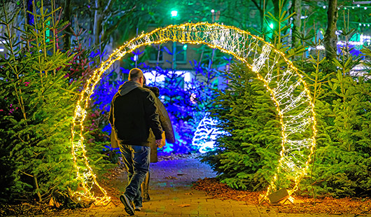 Tannen und Lichtdekoration sorgen für Stimmung beim City-Adventszauber. Foto: Stadt Oberhausen/Tom Thöne
