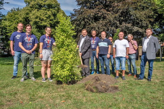 Neuer Gingko-Baum im MULTI-Garten