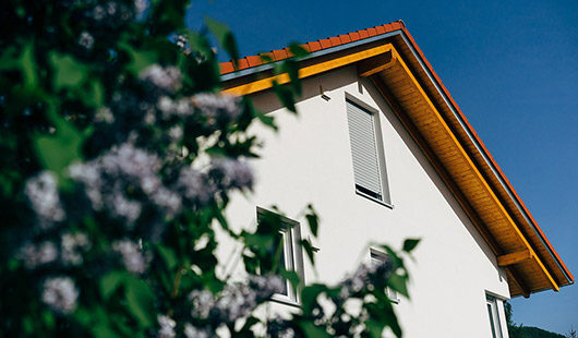 Haus mit blühendem Baum im Vordergrund