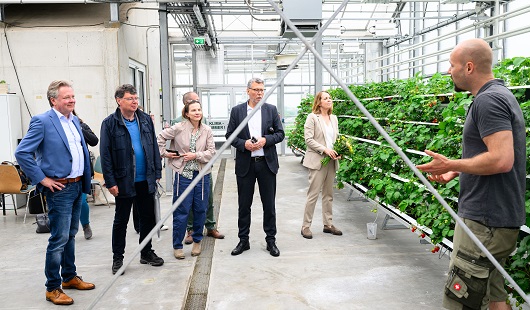 Rundgang durch den ALTMARKTgarten. Foto: Stadt Oberhausen/Tom Thöne