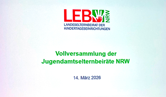 Vollversammlung der Jugendamtselternbeiräte