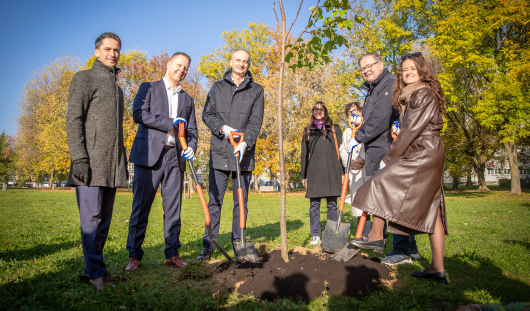Bei dem Besuch wurde gemeinsam ein Freundschaftsbaum mit den Vertreterinnen und Vertretern aus Tychy und Berlin gepflanzt. Foto: Stadt Tychy