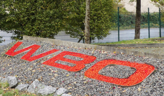 Schirtfzug der WBO im Blumenbeet. Foto: WBO