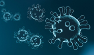 Informationen zum Coronavirus