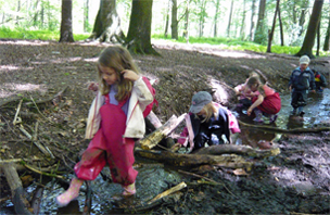 Bild: Kinder im Wald Bild: Kinder im Wald
