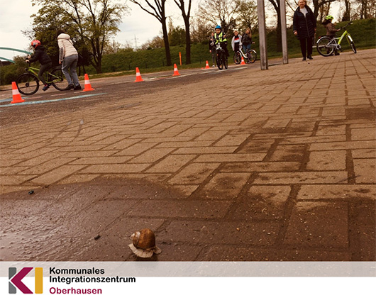 Schnecke beim Verkehrstraining