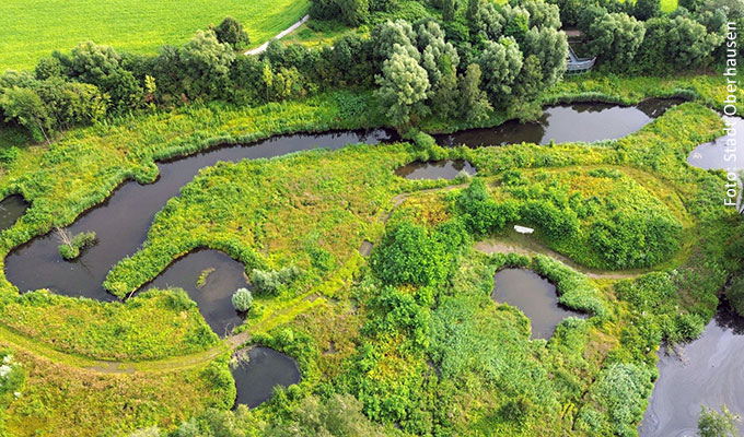 Feuchtbiotop in Alstaden