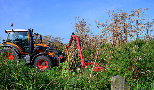 Ein Mähtrecker der WBO beseitigt den Riesenbärenklau an den Rurhwiesen in Oberhausen-Alstaden. Foto: Stadt Oberhausen/Tom Thöne