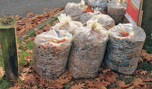 Abfallsäcke (Foto: Pixabay.com/kalhh)