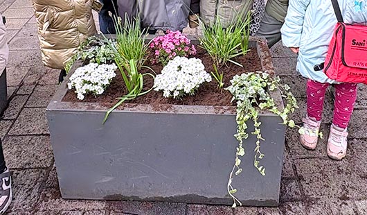 Blumenkübel auf der Marktstraße (Quelle: Stadtteilmanagement Brückenschlag)