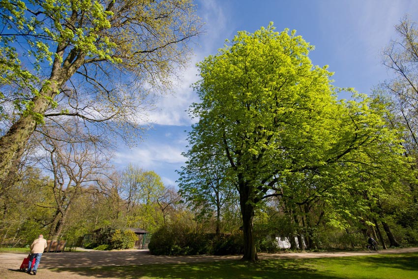 Kaisergarten