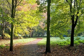 Gehölzgarten Ripshorst (Foto: Markus Eichelberg)