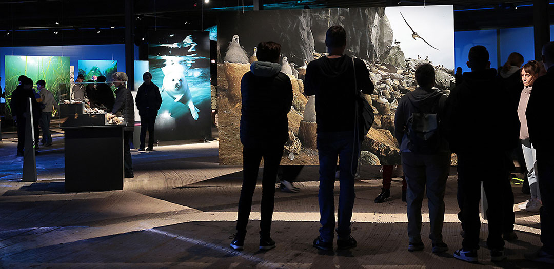 Besucherinnen und Besucher betrachten die großflächigen Fotos der Ausstellung