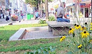 Sommerbepflanzung auf der Marktstraße (Foto: Reiner Lorenz)